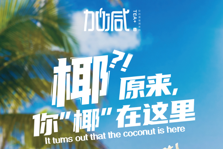 大发椰子系列新品火爆上市